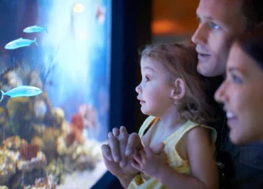 Une famille devant un aquarium en ile de france