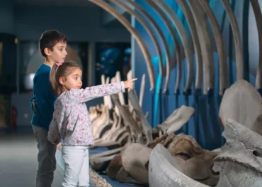 Deux enfants regardent un squelette animal dans un musee a paris