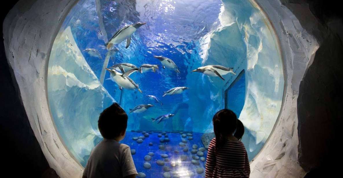 enfants regardant les poissons à l'aquarium Sea Life Val d'Europe