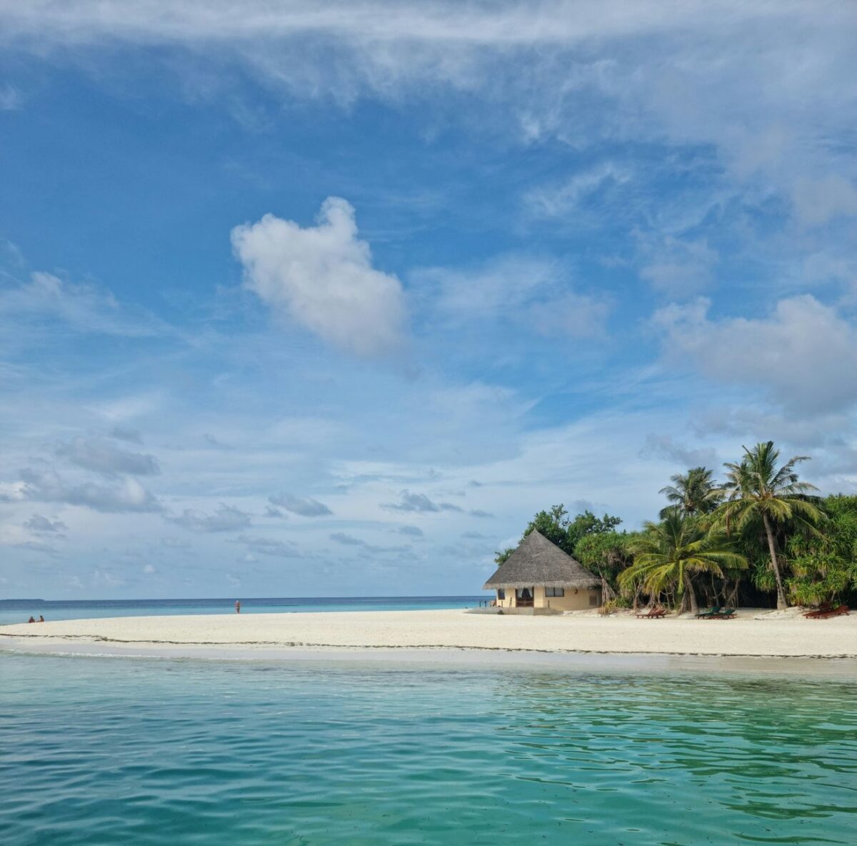 ocean lodge madagascar cas usage profil